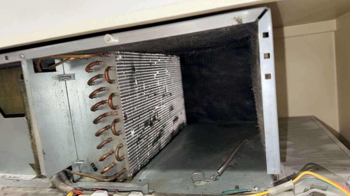 Condenser compartment of a built-in refrigerator opened up, coil and walls coated in thick grey dust