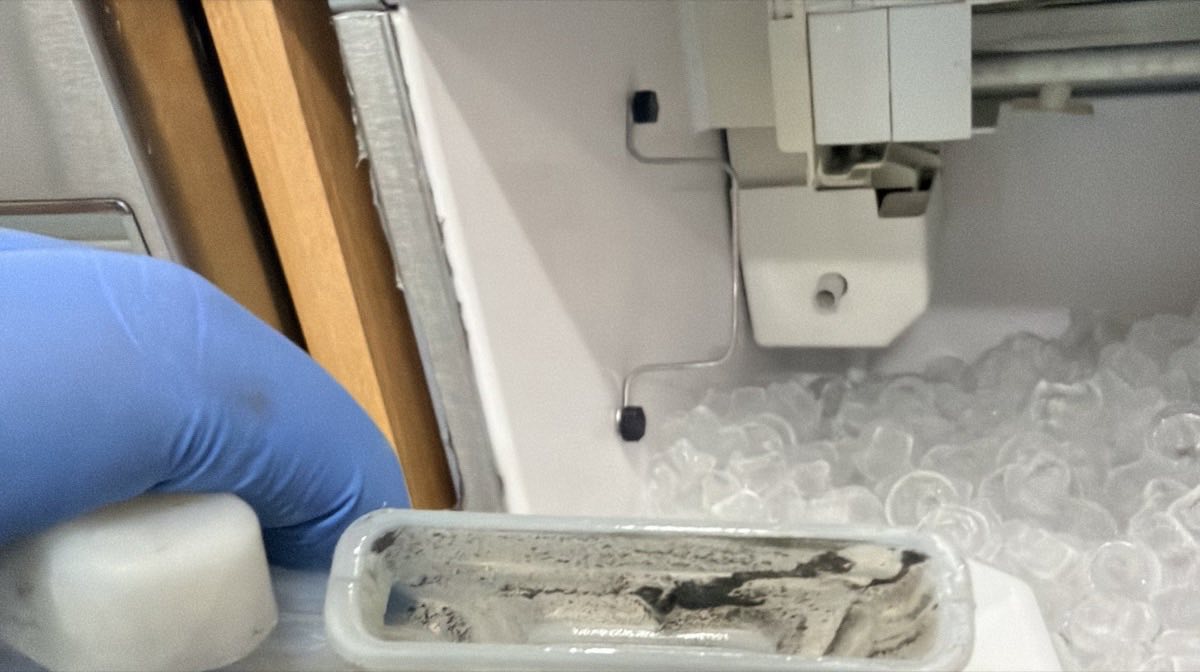 Technician holding a water distribution trough coated in black biofilm, removed from an ice maker above a bin of clean ice