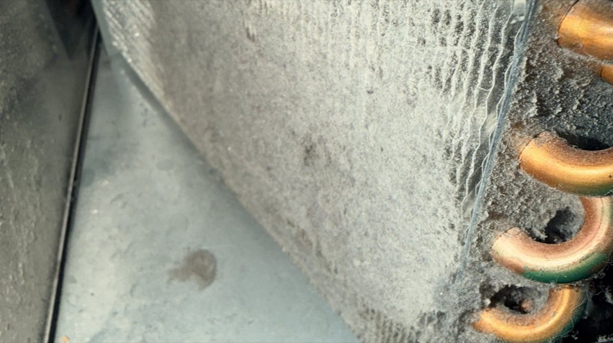 Air-cooled ice machine condenser coil matted with dust and lint before cleaning, copper return bends visible